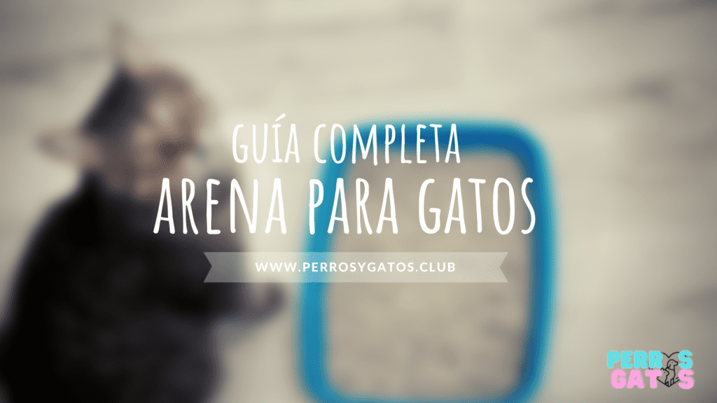 la mejor arena para gatos