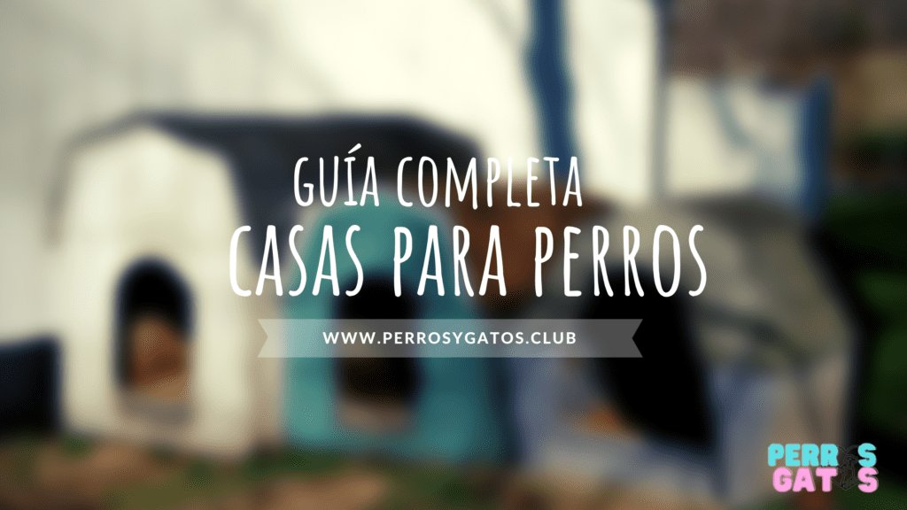 todo sobre casas para perros
