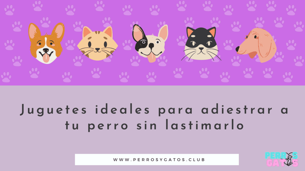 adiestramiento canino