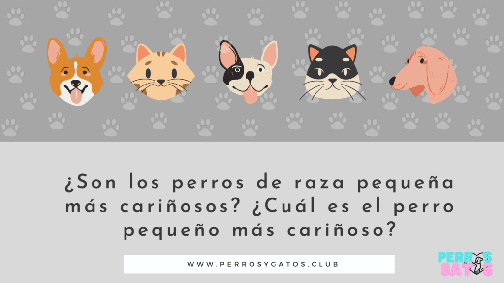 razas pequeñas