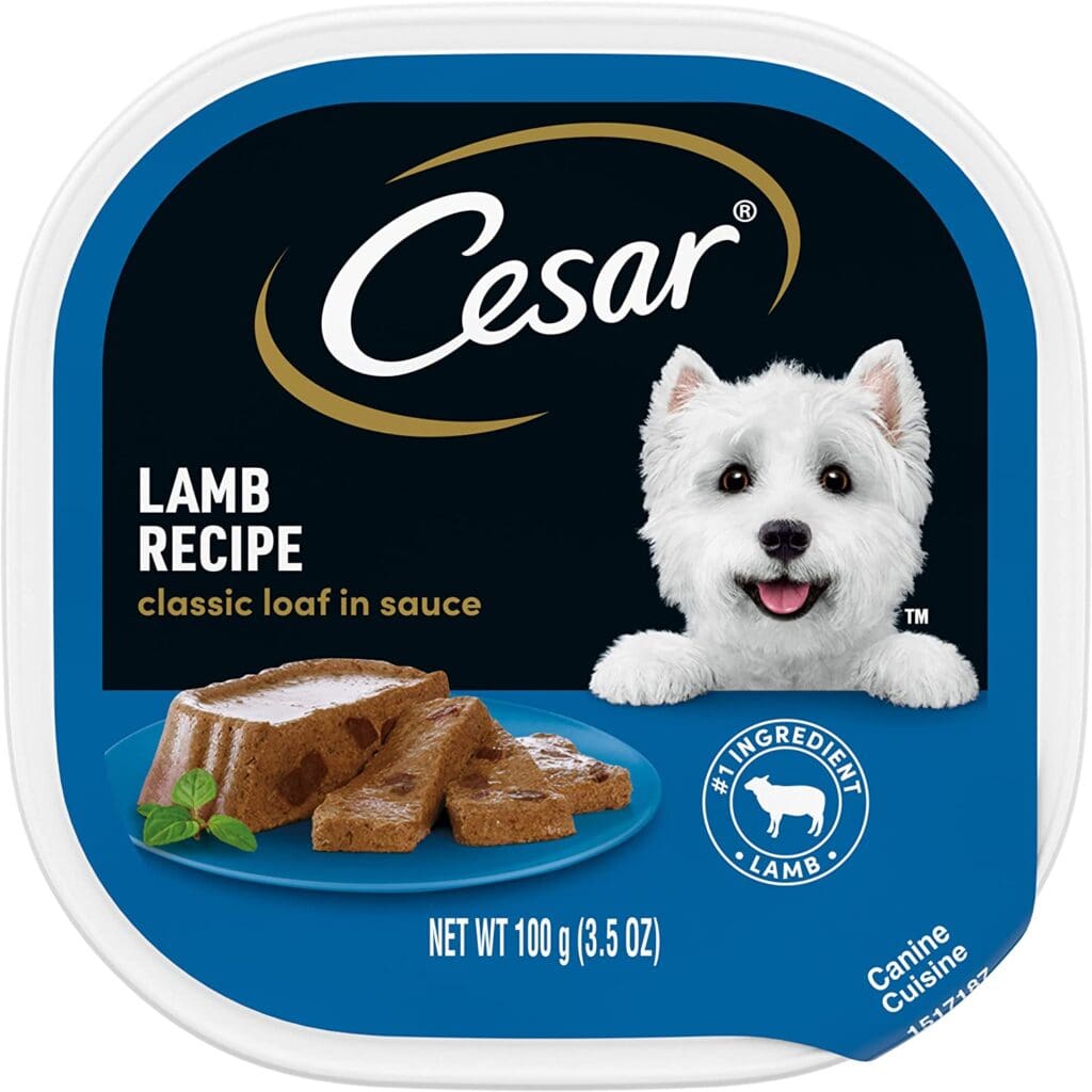 Cesar mejor comida húmeda para perros en España