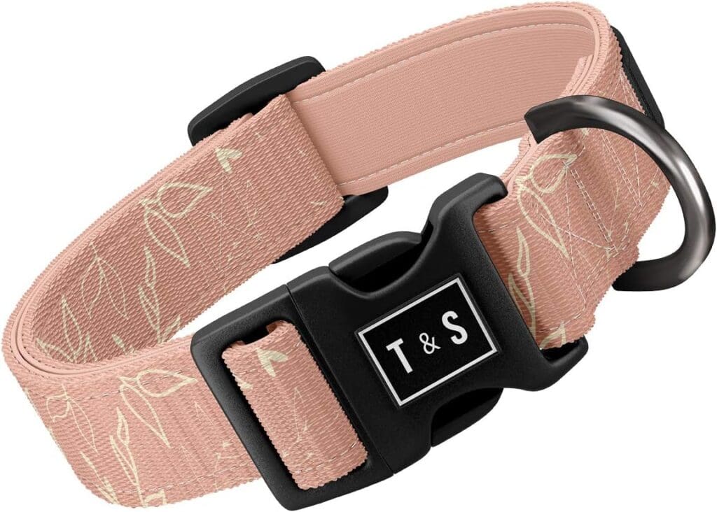 los 5 mejores collares para perros en Chile