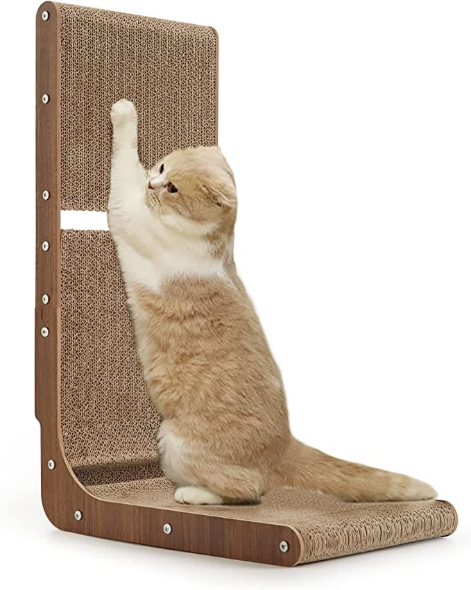 los 3 mejores rascadores para gatos en Estados Unidos