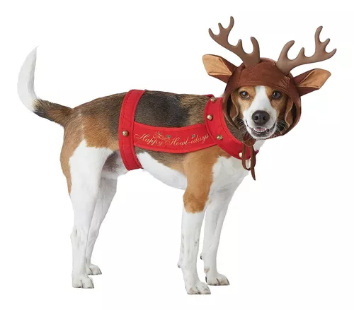 Los 3 mejores disfraces para perros en Estados Unidos