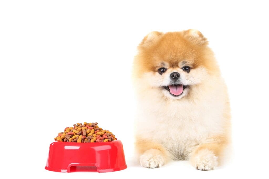 Mejor pienso para Pomerania en México