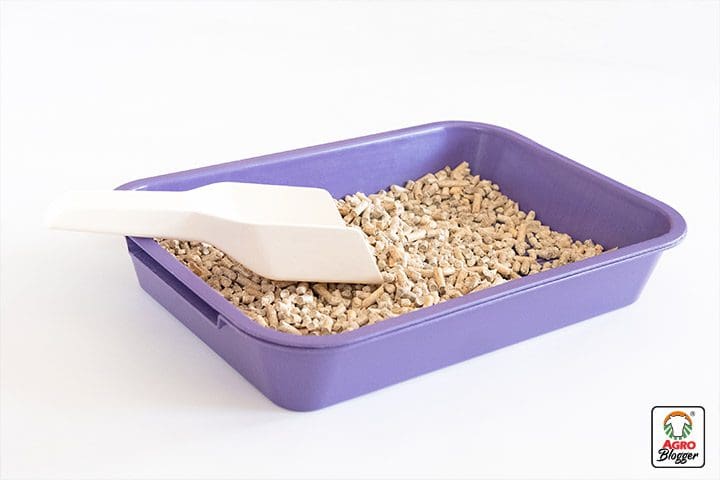 Mejor arena para gatos en España