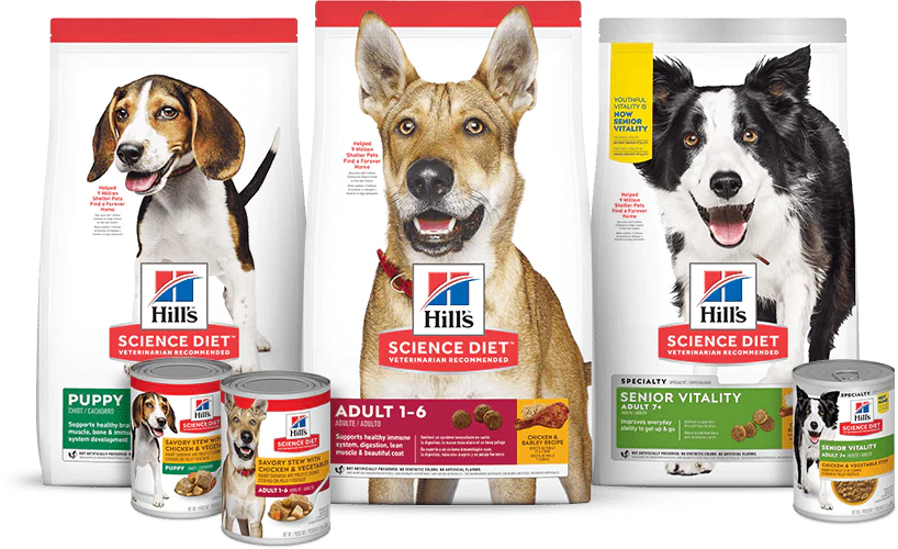 las 3 mejores croquetas para perros en Perú