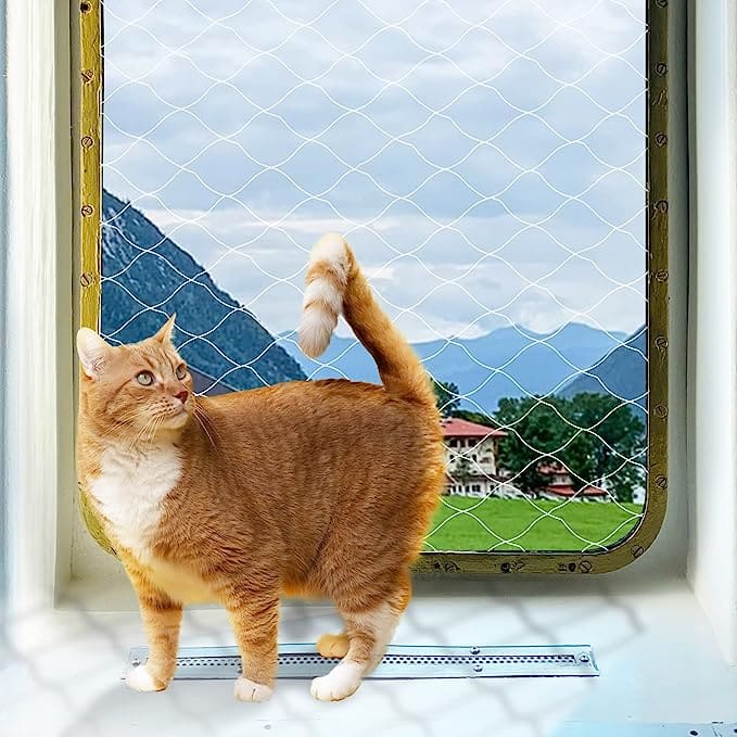 las 3 mejores mallas para gatos en México