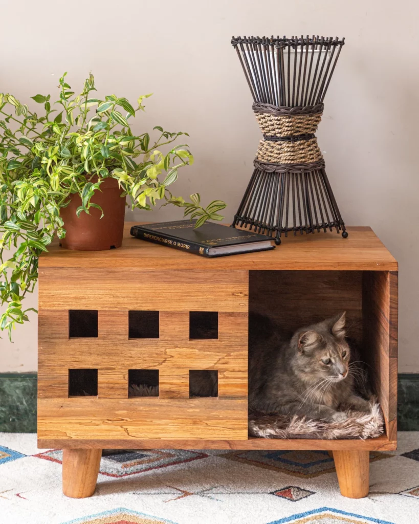 las 3 mejores casas para gatos en Perú