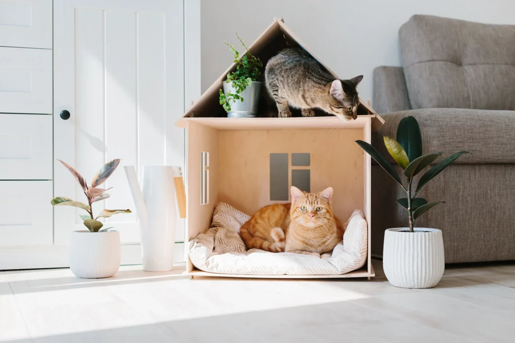 Las 3 mejores casas para gatos en Colombia